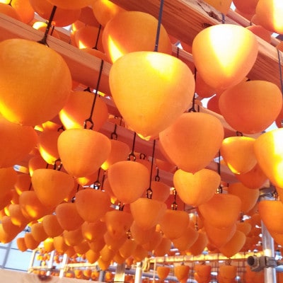 丸京農園だけの“ 逸品”美しい粉雪の「 干し富士柿 」( 家庭用・クール発送 )【C72-5】【配送不可地域：離島】【1445473】