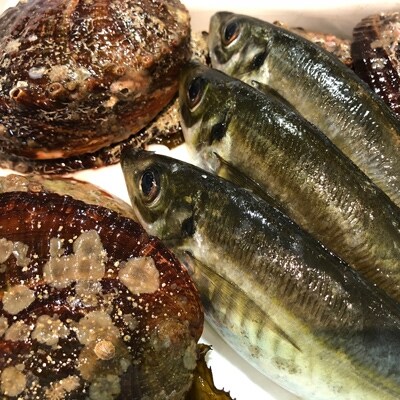 å
«å¹¡æµçº!ç«¹äžæ°Žç£ã®ãã¢ã¯ãäžæ§ãäžãµã€ãºã600g(é¯ãããã¯ã¢ãžãšã»ãã)ãH22-213ããé
éäžå¯å°åïŒé¢å³¶ã»åæµ·éã»æ²çžçãã1043109ã