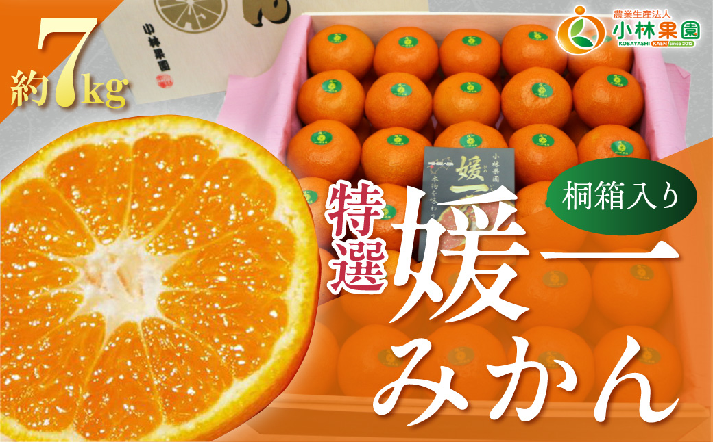 【先行受付】桐箱入り・媛一みかん(7kg)【G24-3】 YWTAD001