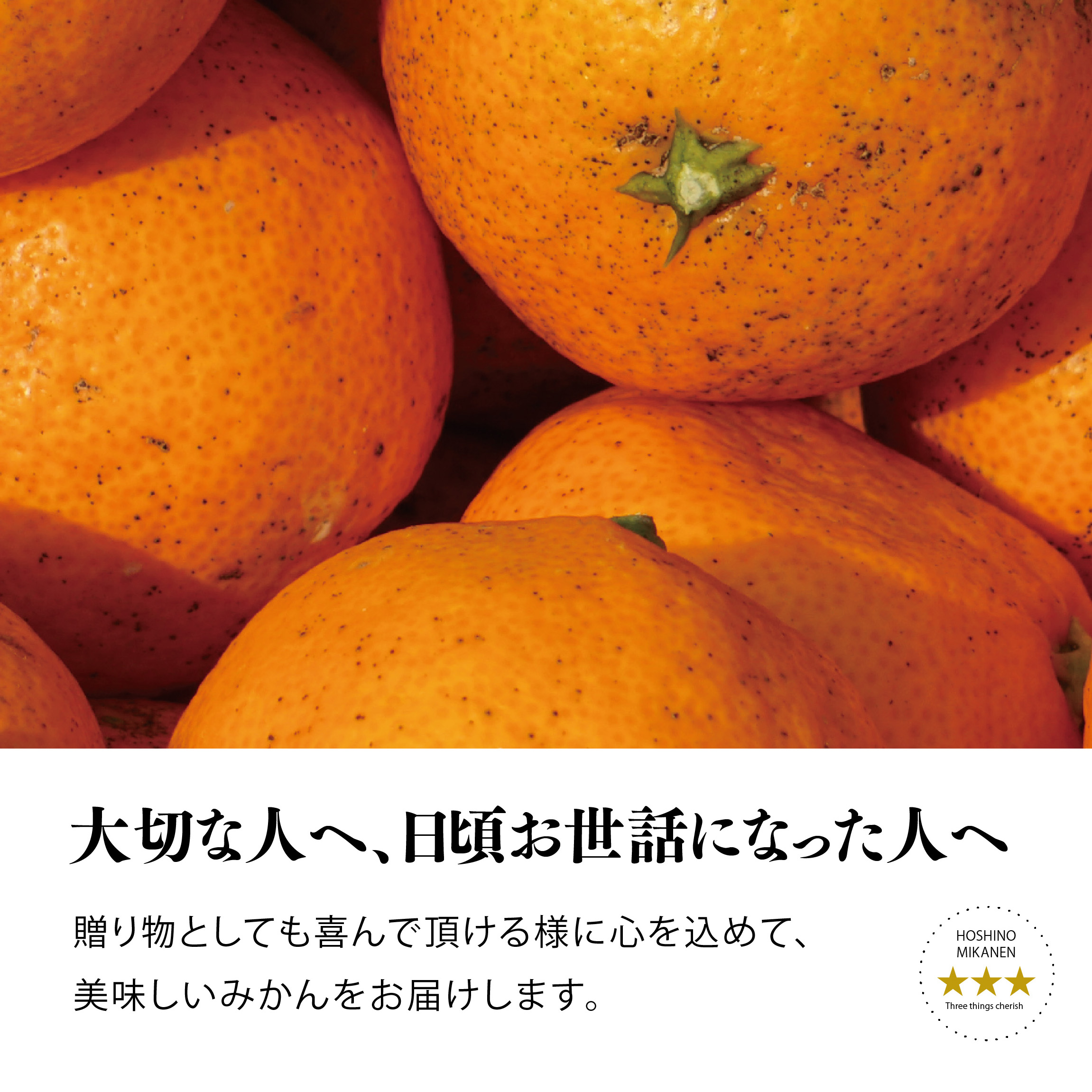 【訳あり】星乃みかん園の星乃みかん(5kg)【A45-98】【1650693】 YWTAZ060