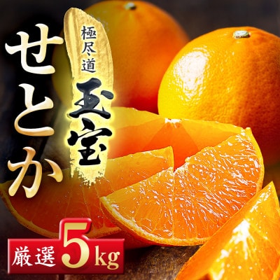 「玉宝ブランド」【せとか】5kg【G64-62】【1621005】