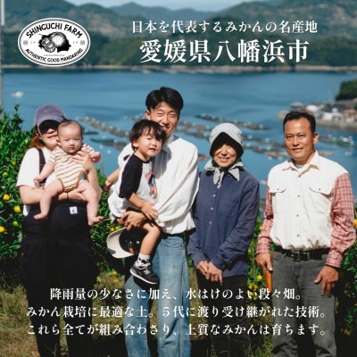 縲千匱騾∵怦蝗コ螳壼ョ壽悄萓ソ縲代梧凾譛溘∫ィョ鬘槭↓繧医k蜻ウ縺ョ驕輔>繧呈・ス縺励縲肴帛ェ帙∩縺九s鬟溘∋豈斐∋縲食70-80縲大ィ3蝗槭4067801縲