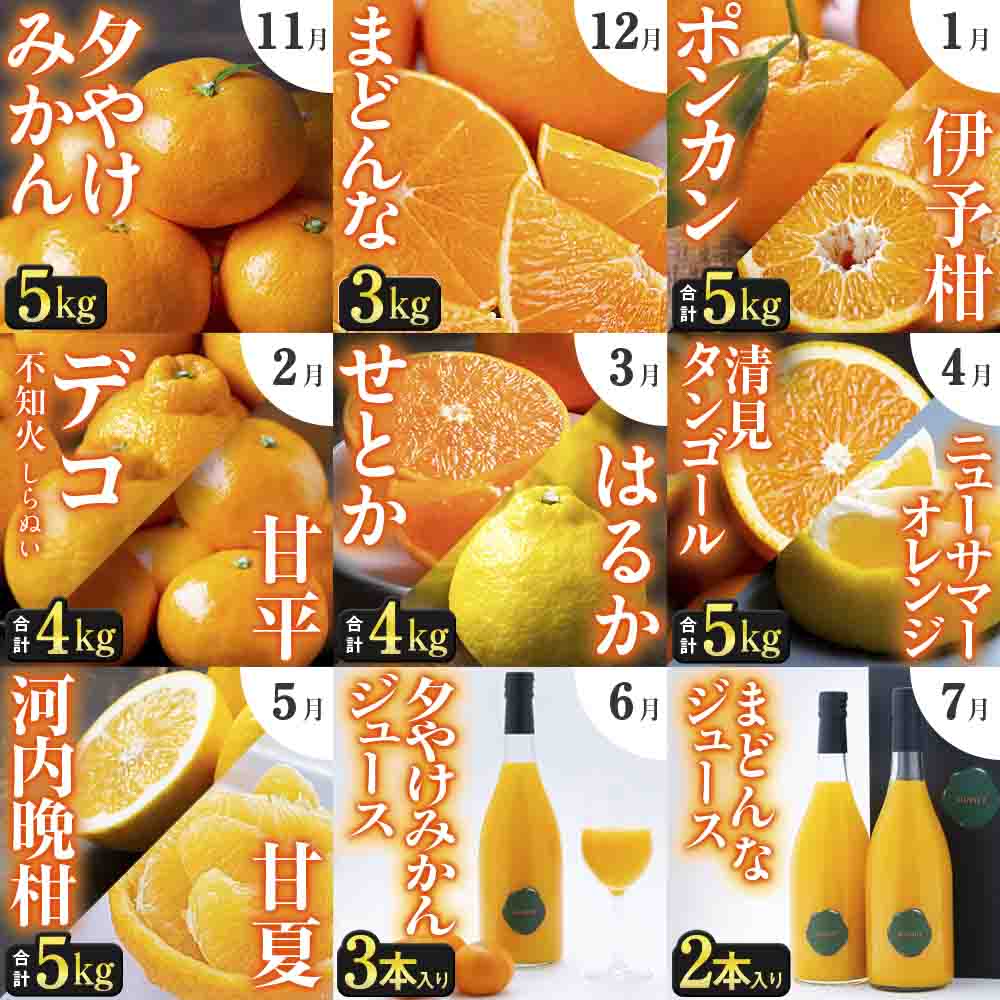 【発送月固定定期便】「こたつの上の冬物語」驚異の全14種類!!【H49-75】全9回【4056043】 YWTZ007