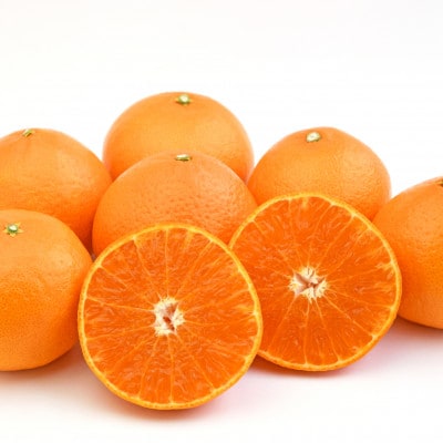 ãæ°åçš®!!ããçå¹³ÃãŸã©ããªãææ48å·(çŽ
ããªã³ã»ã¹ãšååçš®)ãæ¥µã10kgãH49-93ãã1621805ã