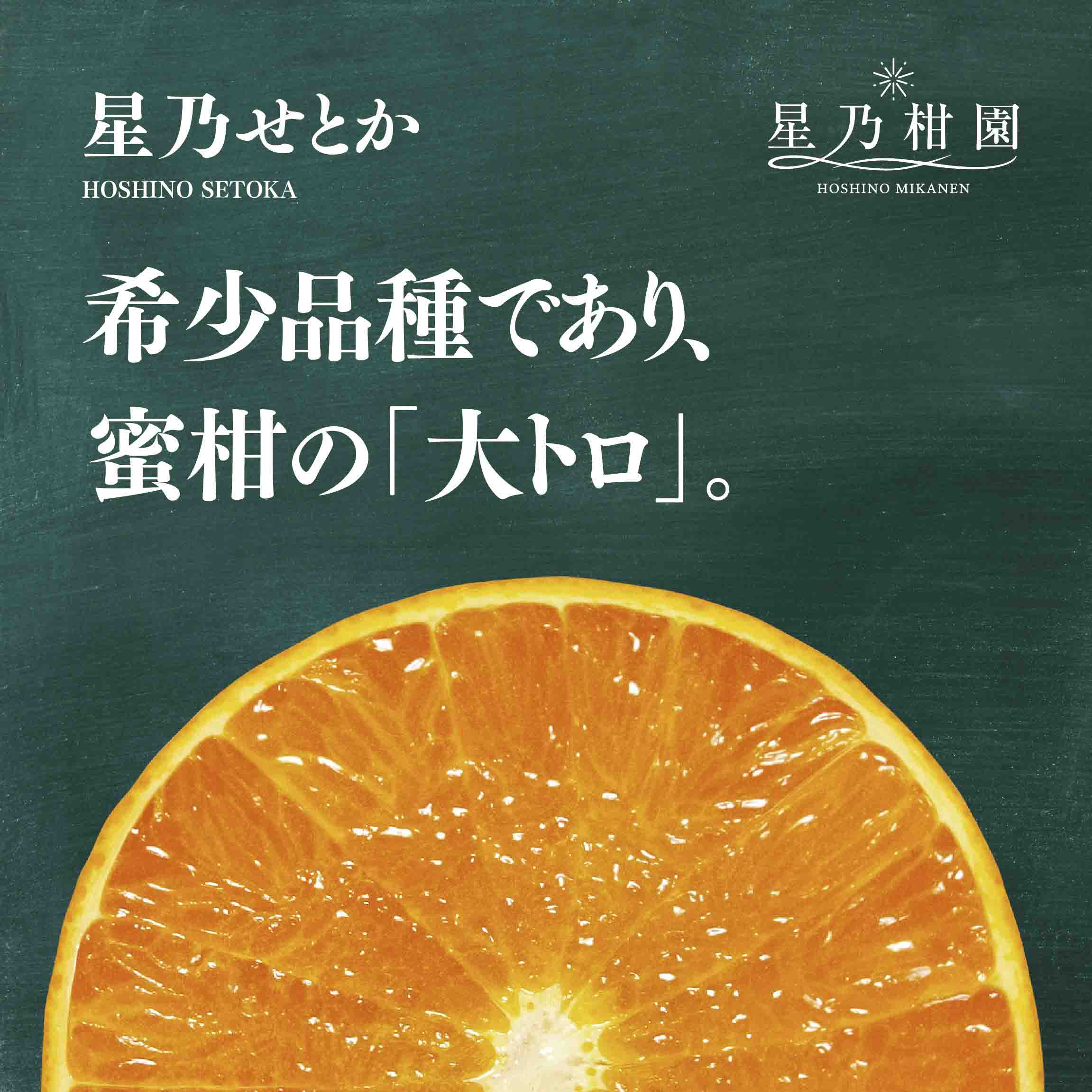 【三つ星ブランド】星乃せとか(3kg)【D45-93】【1625776】 YWTAZ055