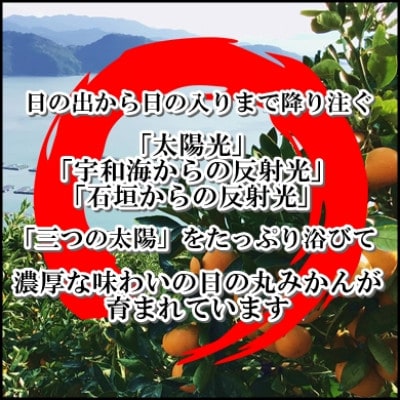 自然の恵み!「ガキ大将」3kg(L/Mサイズ)/日の丸みかん/ご家庭用/2箱セット【C79-15】【1452038】