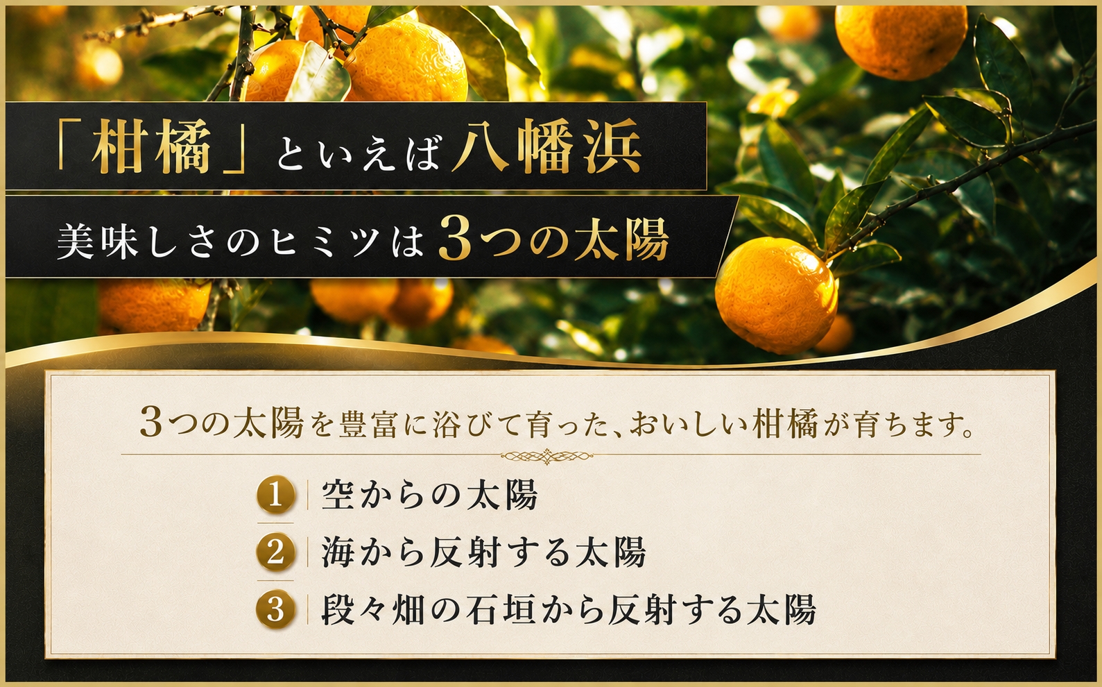 【先行受付】極撰柑橘【雅】光センサー合格品　甘さ際立つ「小玉温州みかん」約4.5キロ【C39-64】【配送不可地域：離島】【1616826】 YWTF039