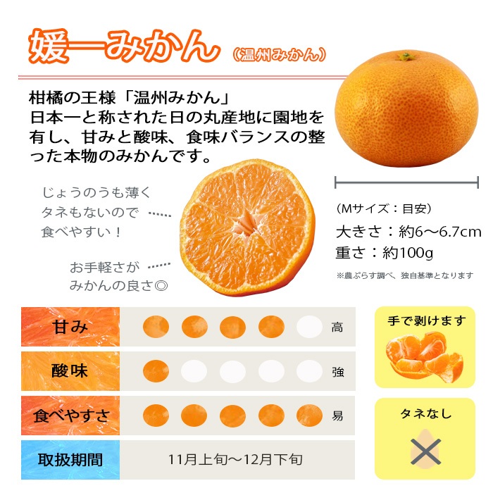 【先行受付】「媛一みかん」と「媛一まどんな」の2品種・約5kg【C28-29】【1119673】 YWTN021