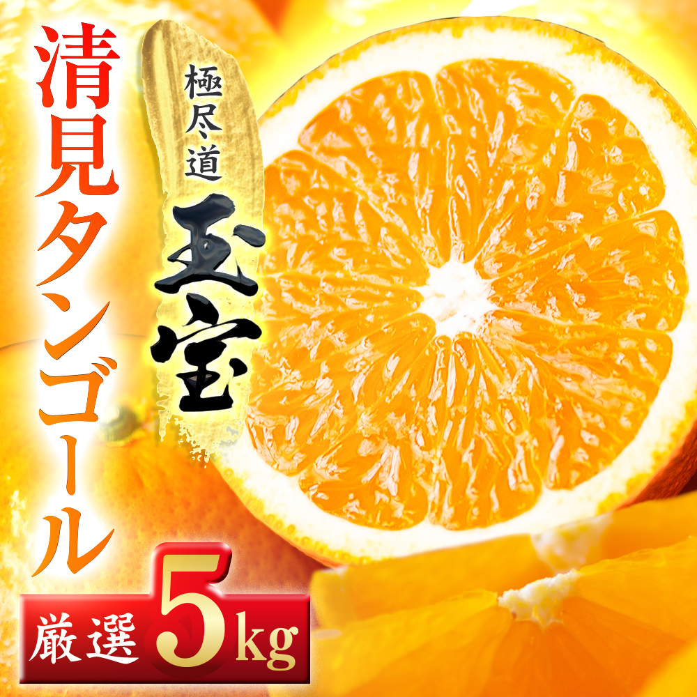 【愛媛名産】玉宝清見タンゴール　5kg【C64-35】【1510847】 YWTY024