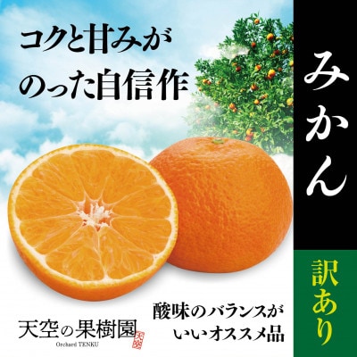 天空の果樹園から届く そらみかん (5kg)【訳あり】【A95-4】【1668469】