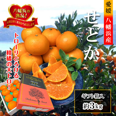 2026年2月〜順次発送　柑橘の大トロ「せとか」約3kg  【D39-6】【1262187】