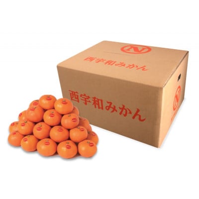 真穴みかん 【サイズおまかせ】 10kg【H43-6】【1490404】