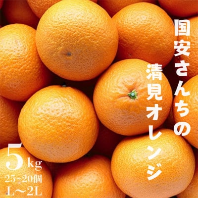 【まるで食べるジュース!越冬完熟品】愛媛産 清見オレンジ 5kg【D20-38】【1594848】