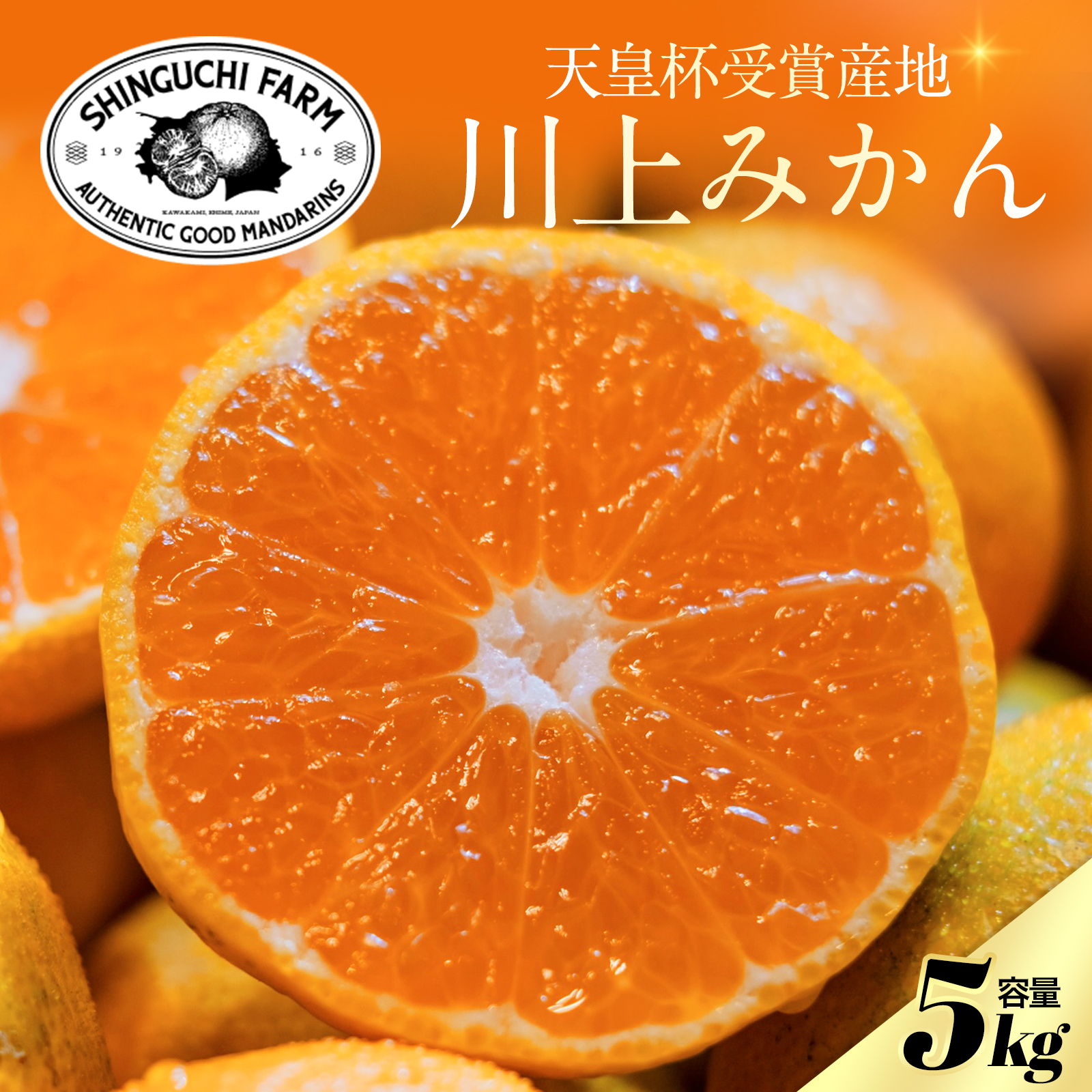 【天皇杯受賞産地】川上みかん 5kg【愛媛県八幡浜市】新口農園厳選【C70-122】【1683971】 YWTK121