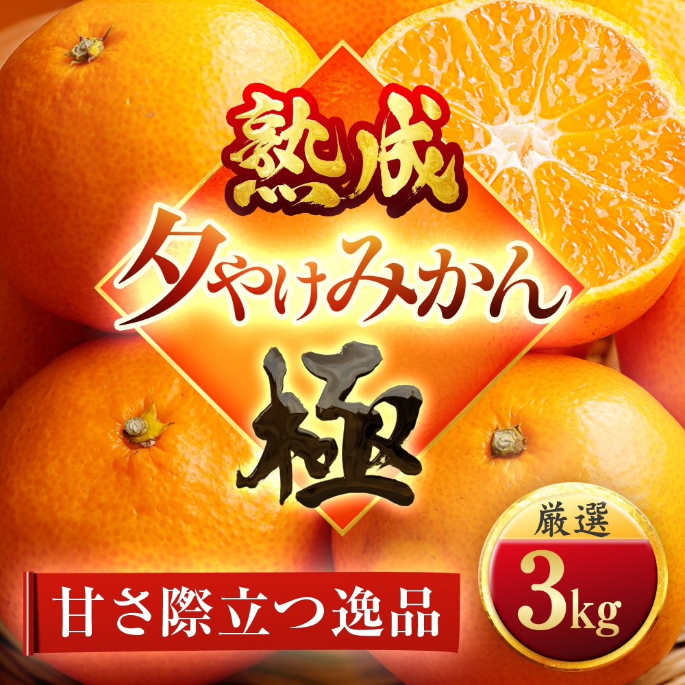 【完熟&熟成】愛媛で育った夕やけみかん【極】3kg　※年明け発送【C49-77】【1557679】 YWTZ062