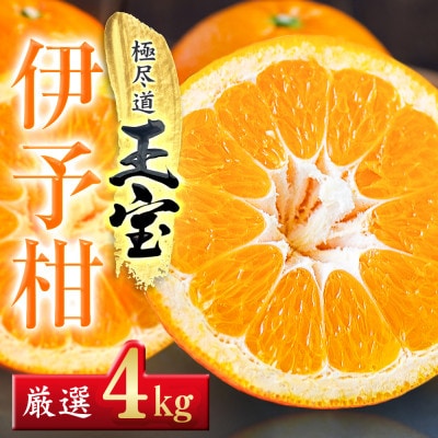 【愛媛名産】玉宝伊予柑　4kg【C64-58】【1511350】