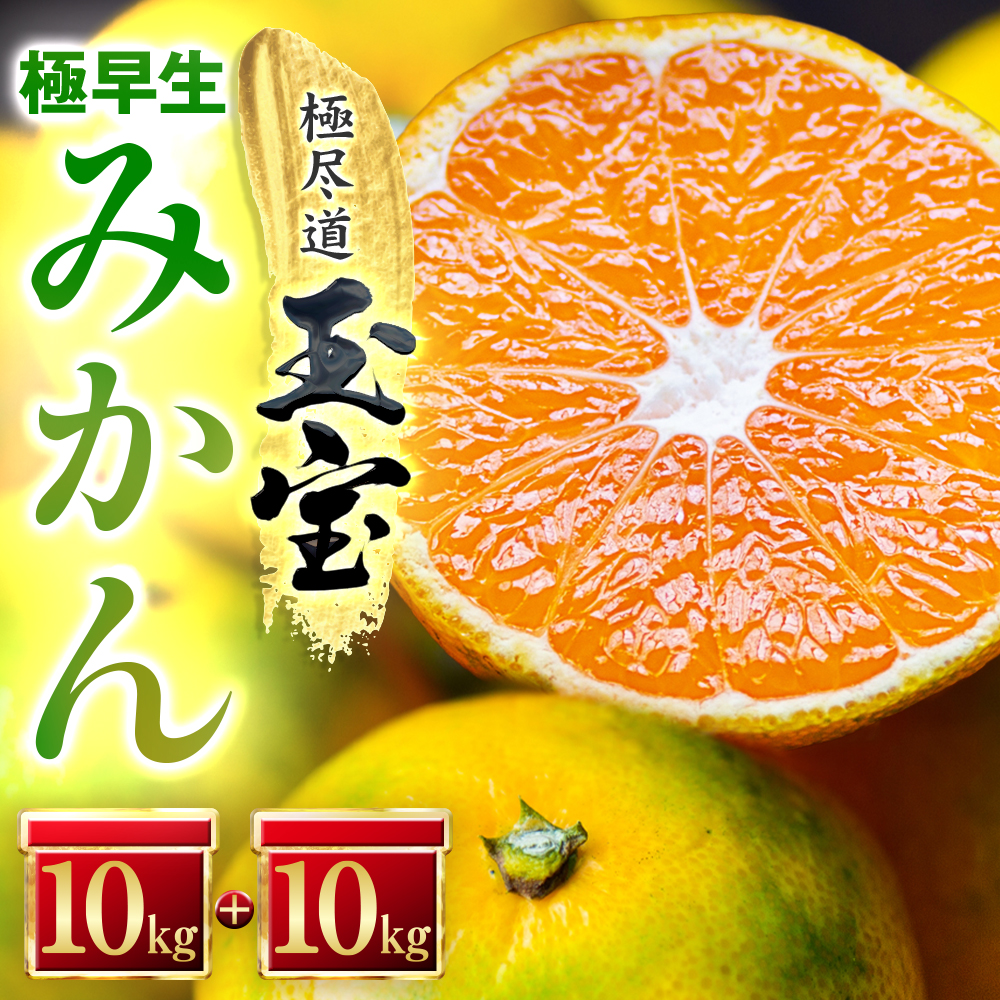 【愛媛名産】極早生みかん【雫・・小玉】 20kg【H64-25】【1510678】 YWTY014
