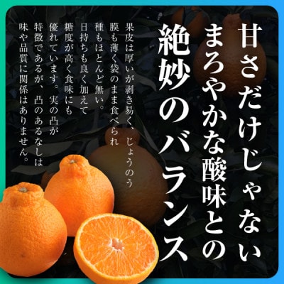 三代目がつくる不知火5kg【D31-3】【配送不可地域：離島】【1042518】