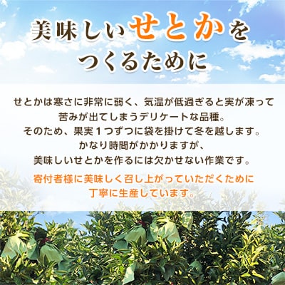 äžä»£ç®ã®ææ©ã®å€§ãããããšãã3kgãD31-6ããé
éäžå¯å°åïŒé¢å³¶ãã1071620ã