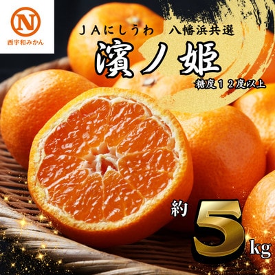 JAにしうわの季節の柑橘(八幡浜共選「濱ノ姫」約5kg)【E08-41】【1443319】