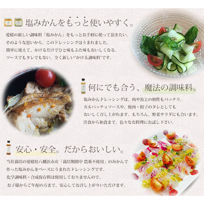 みかんがふわっと香るワンランク上のお料理に!愛媛の新しい調味料 塩みかん4種セット【C25-65】【1228227】 YWTAP037