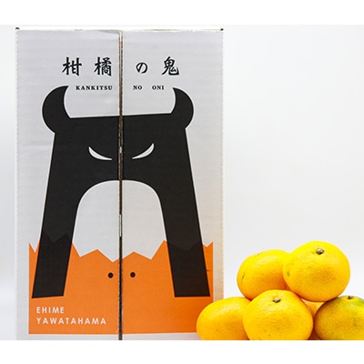 å¹³åç³åºŠ13床!æåªã®ã¿ã§çç£ã®åžå°åçš®ãåªå°æ¥ã(2.8kgã3.0kg)ãD56-18ããé
éäžå¯å°åïŒé¢å³¶ãã1262001ã