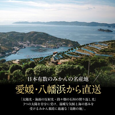 【贈答用】五代目が厳選した「柑橘の大トロ せとか」2kg【D70-153】【1707143】