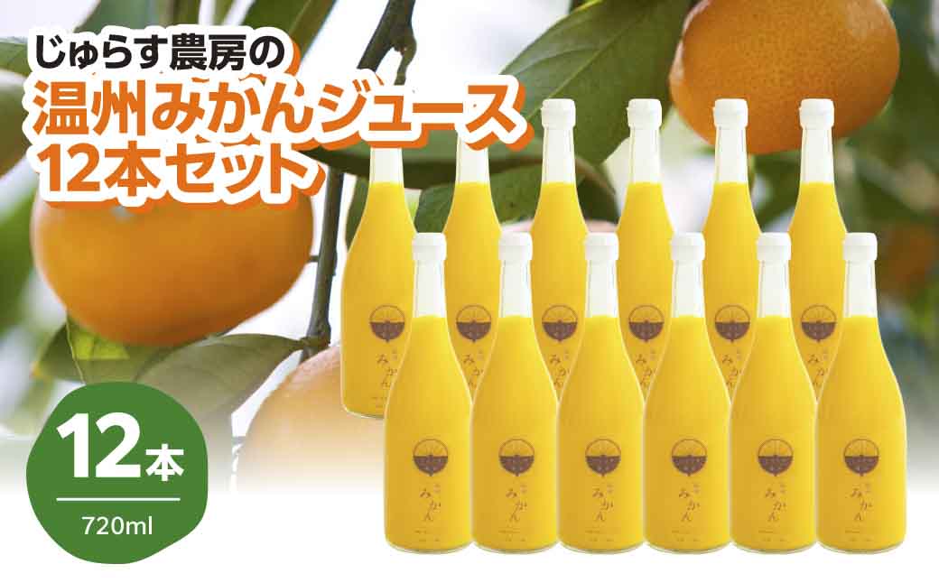 じゅらす農房のみかんジュース12本セット【H32-10】【1296465】 YWTH009