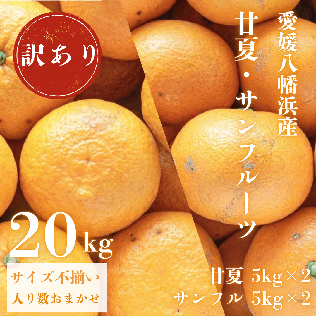 甘夏&サンフルーツ各10kg【訳あり】【F20-85】【1625136】 YWTI080