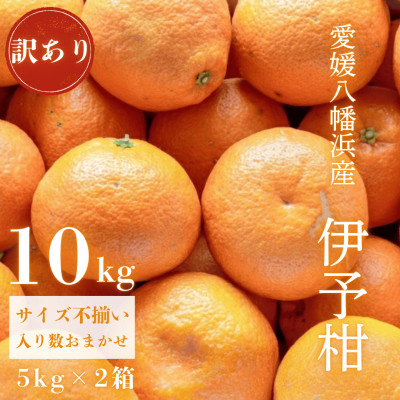 【爽やか香りと柔らかジューシーな果肉】愛媛八幡浜産 訳あり 宮内伊予柑 10kg【D20-16】【1094592】