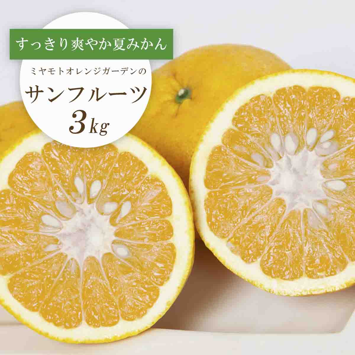 【2026年3月以降発送】さっぱりみずみずしい サンフルーツ(甘夏)3kg【C25-213】【1612610】 YWTAP154