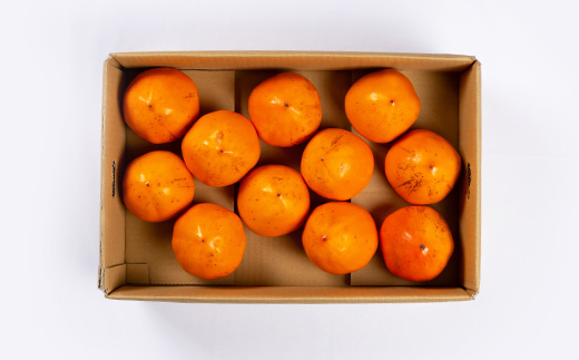 家庭用　富士柿　5.5kg〜6kg【C56-73】【配送不可地域：離島】【1621936】