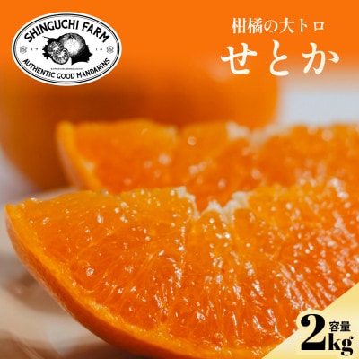 柑橘の大トロ【せとか 2kg】〜とろける濃厚果実〜【C70-8】【1451139】