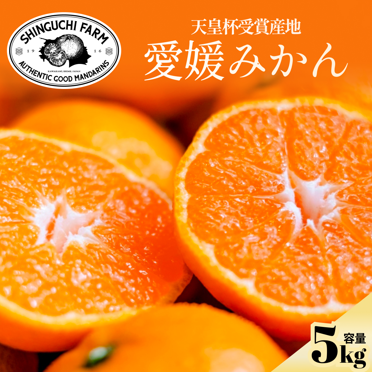 【太陽の恵みがギュッと凝縮】愛媛みかん5kg 農家直送 愛媛県川上産【C70-1】【1440738】 YWTK001