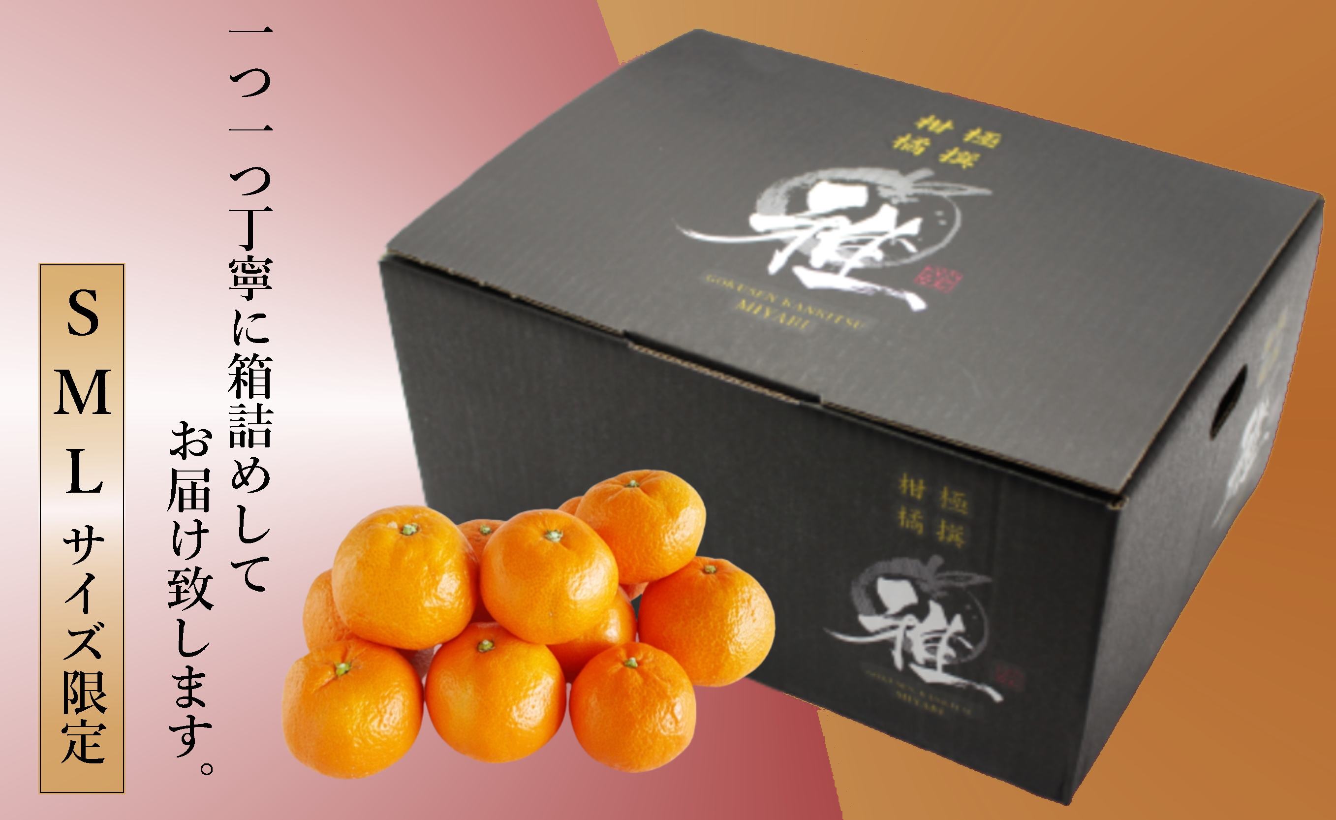 極撰柑橘【雅】光センサー合格品「八幡浜温州みかん」約3キロ 【C39-53】【配送不可地域：離島】【1464138】 YWTF028