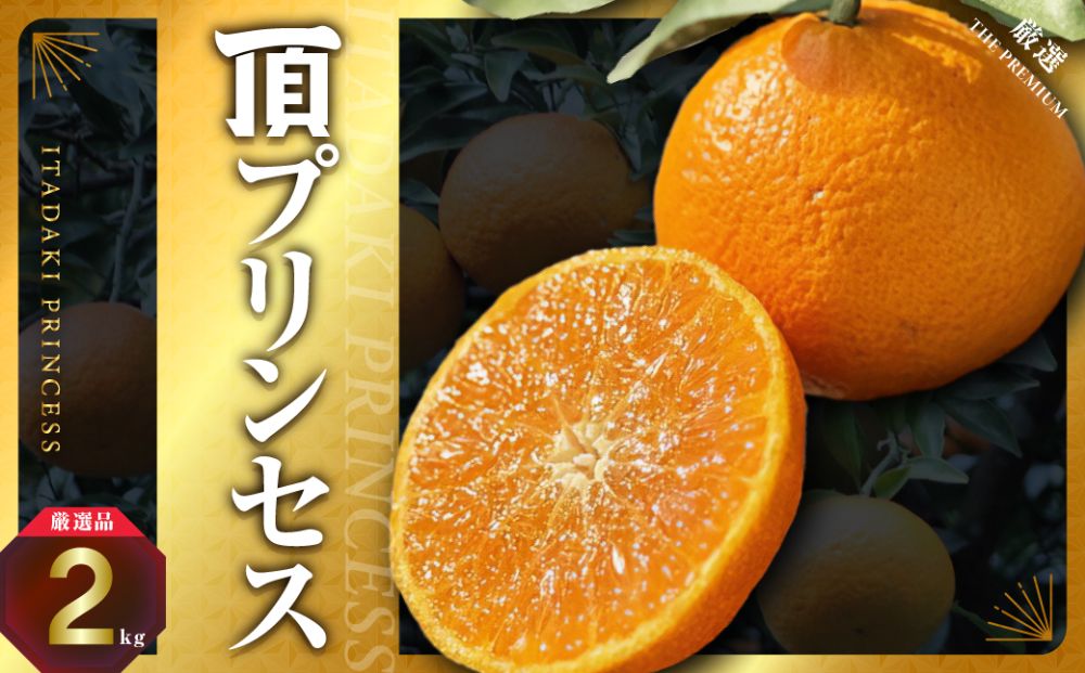 【紅プリンセス同品種】愛媛県産 新品種柑橘 愛果48号【甘平×まどんな】2kg【D31-56】【1660048】 YWTAC045