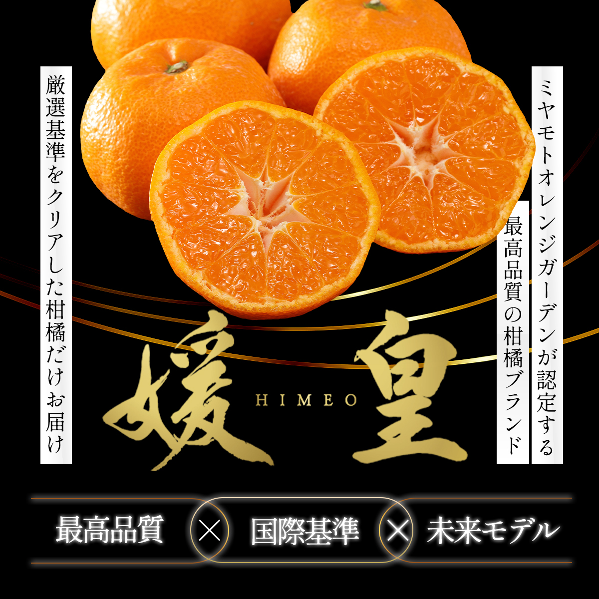 最高級みかん 媛皇 清見 4kg 愛媛県 八幡浜市 西宇和地区 柔らかい果肉【E25-349】【配送不可地域：離島】【1716848】 YWTAP290