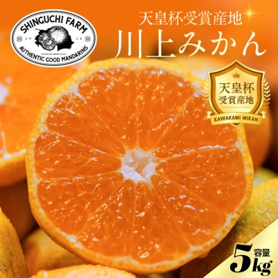 【天皇杯受賞産地】川上みかん 5kg【愛媛県八幡浜市】新口農園厳選【C70-122】【1683971】