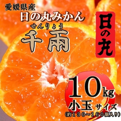 日の丸みかん「千兩」10kg　2S(小玉)サイズ/約130〜160個【D79-10】【1452033】