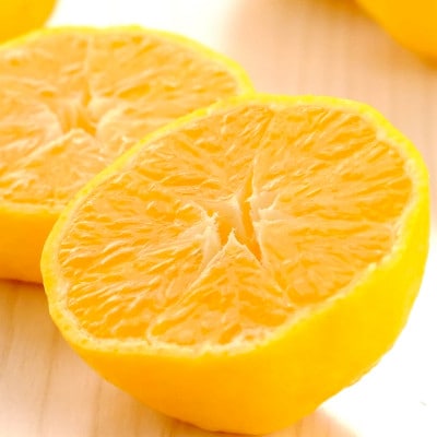 媛小春 1.5kg 愛媛県 八幡浜市 西宇和地区 希少な幻の柑橘 黄色いみかん【C25-357】【1715605】