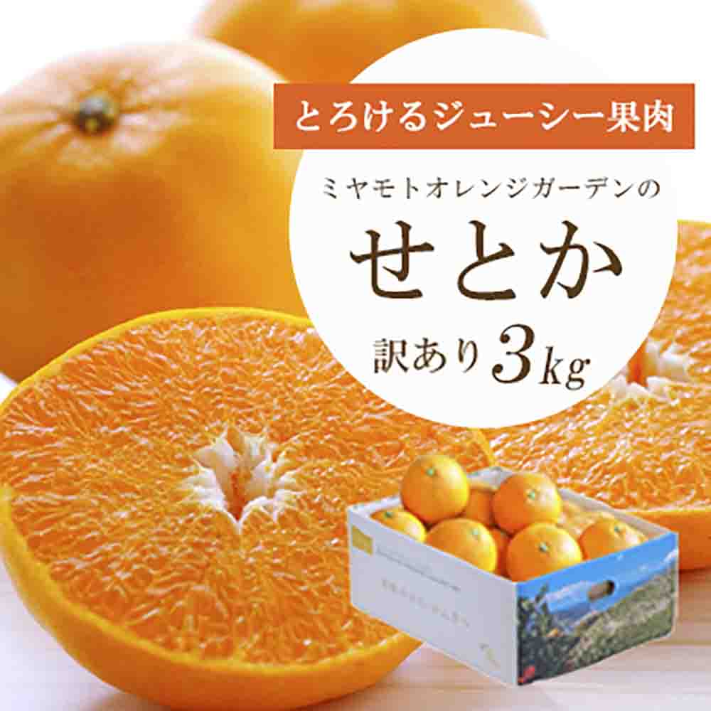 とろける濃厚柑橘 せとか3kg 愛媛県八幡浜産【訳あり】【E25-134】【1128816】 YWTAP077