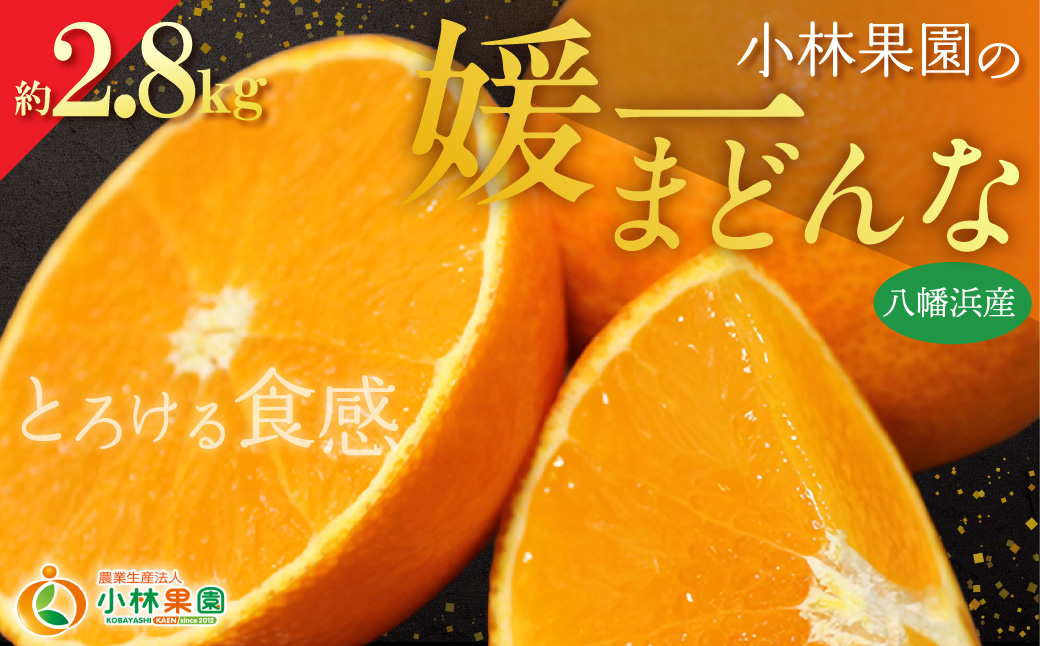 【先行受付】小林果園の媛一まどんな(約2.8kg)【C24-16】 YWTAD009