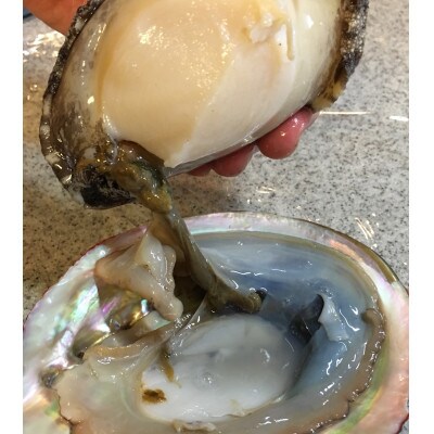 【3ヵ月毎定期便】八幡浜発竹中水産の大アワビ900g以上(2〜5個)【H22-289】全2回【配送不可地域：離島・北海道・沖縄県】【4076813】