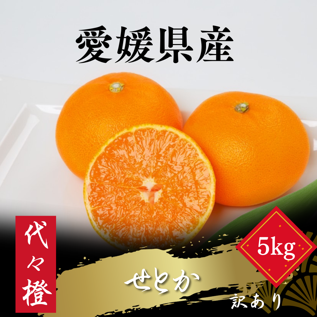 【先行受付】【最高の旨みと香りが詰まった】代々橙せとか【訳あり】5kg【E83-37】【1623736】 YWTW037