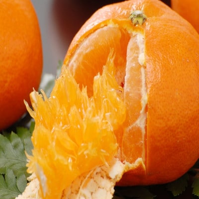 甘平1kg【B21-58】【1704633】