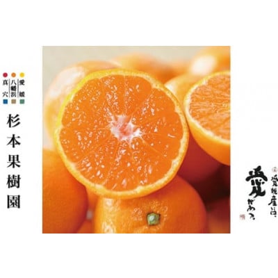 【2025年12月以降順次発送】〈特選〉真穴、杉本果樹園八寿みかん(普通温州)5kg【D34-24】【1510695】