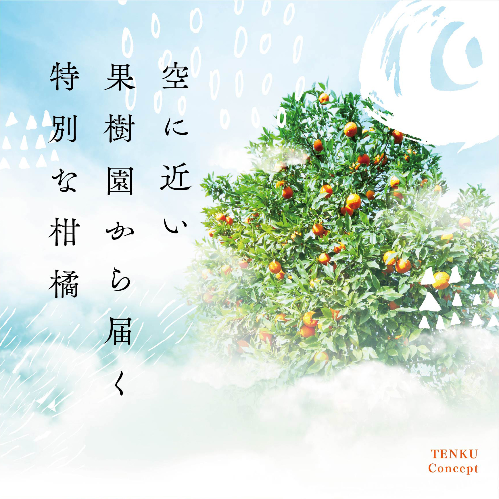 【先行受付】【天空の果樹園】そらみかん (5kg)【D95-2】【1339405】 YWTAQ002