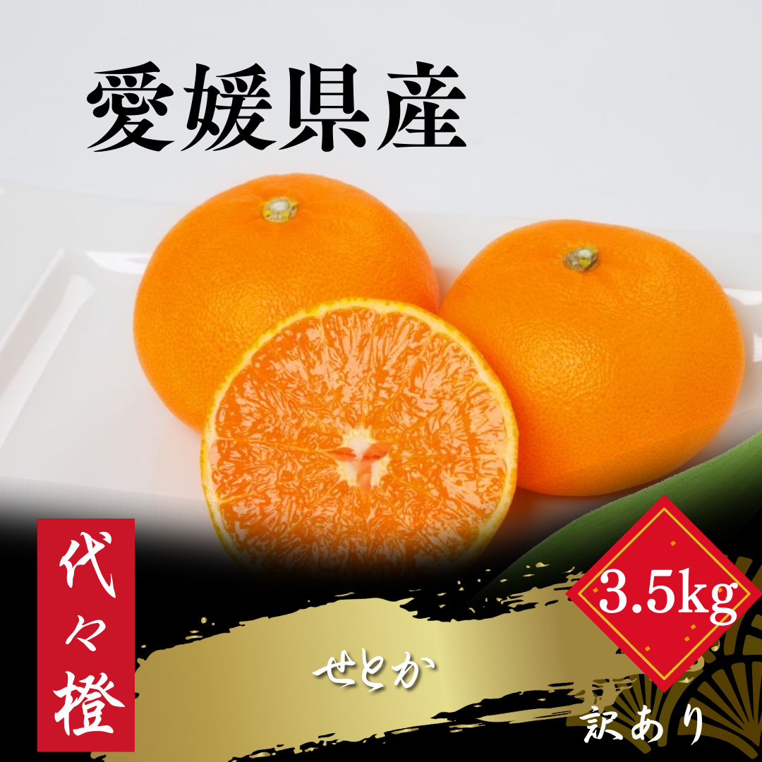 【先行受付】【最高の旨みと香りが詰まった】代々橙せとか【訳あり】3.5kg【C83-9】【1543886】 YWTW009
