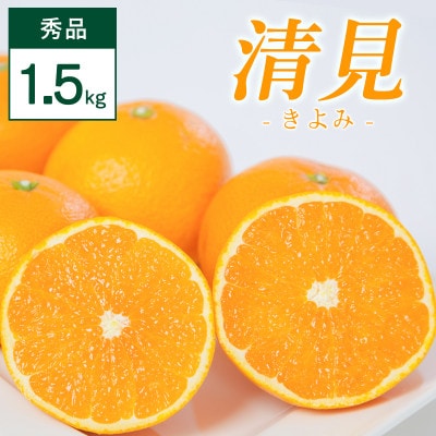 清見 1.5kg 愛媛県 八幡浜市 西宇和地区 柔らかい果肉【C25-350】【配送不可地域：離島】【1716853】