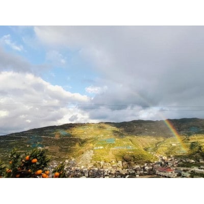 ãæ£æ¬èŸ²åãæž©å·ã¿ãããžã¥ãŒã¹720mlÃ3æ¬ãC96-8ãã1712353ã